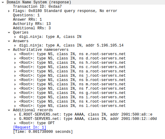 A packet capture of the response do a DNS request from a normal DNS server showing the various sections of a DNS response