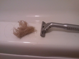 The hair that came off