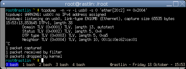 tcpdump of DTP packet