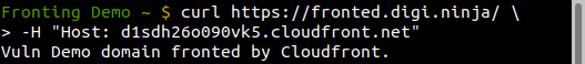 使用CloudFront进行域前端 一个有效的例子