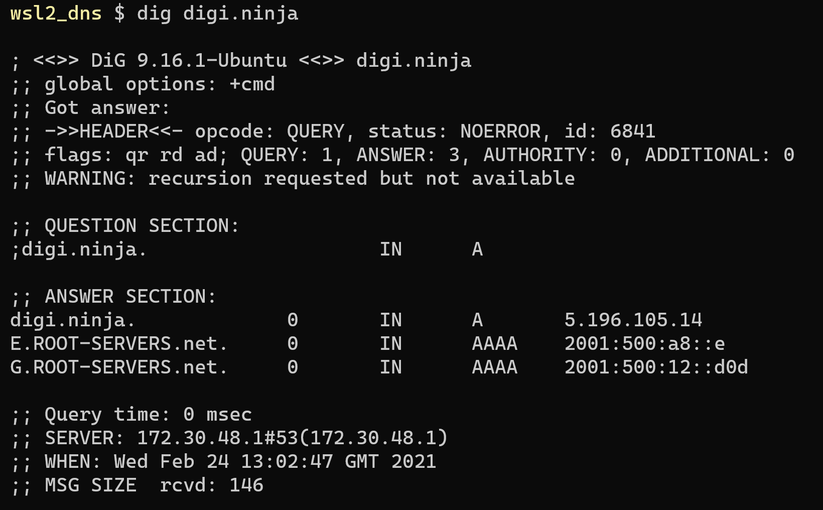 Dig from a Linux box under WSL2 showing only the ANSWER section.