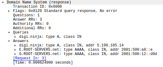 The packet capture of the previous dig request again showing on the the ANSWER section.